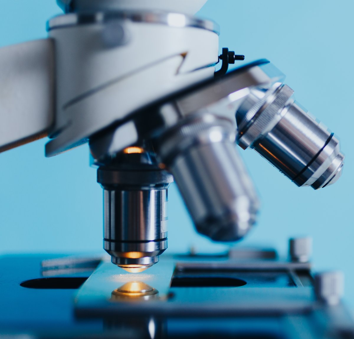 Featured image for Leprosy Resurfaces in California: Report Reveals Alarming Cases