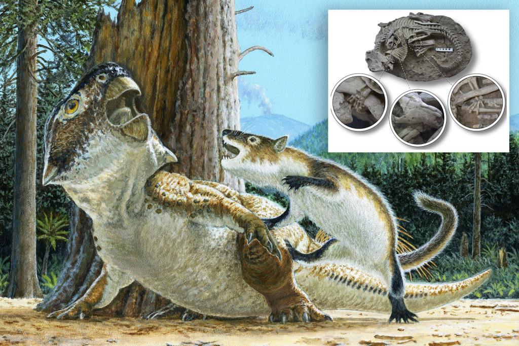 Mammals Unearthed: Rare Fossil Reveals Dinosaurs as Dinner