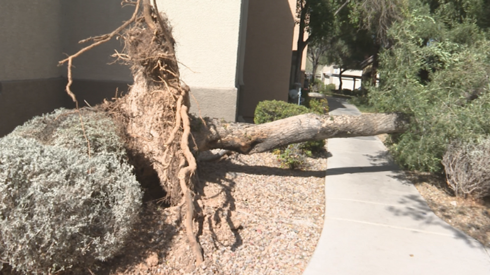 Featured image for "Las Vegas Hit by Record-Breaking Windstorm: Power Outages and Road Closures Across the Valley"