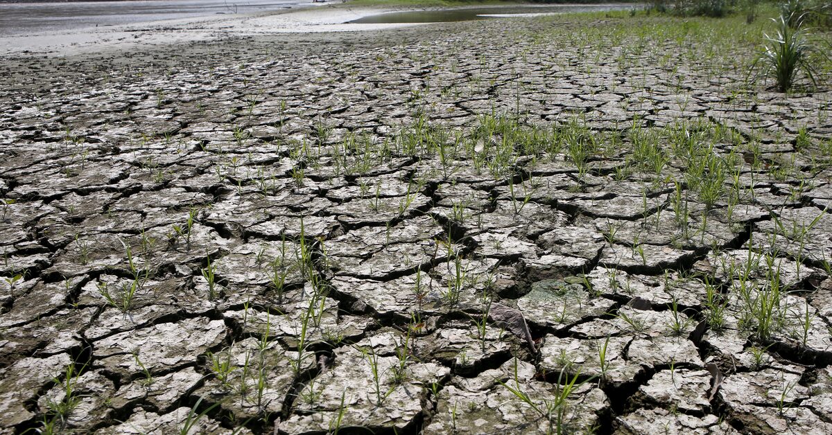 El Nino Returns: Brace for Extreme Weather.