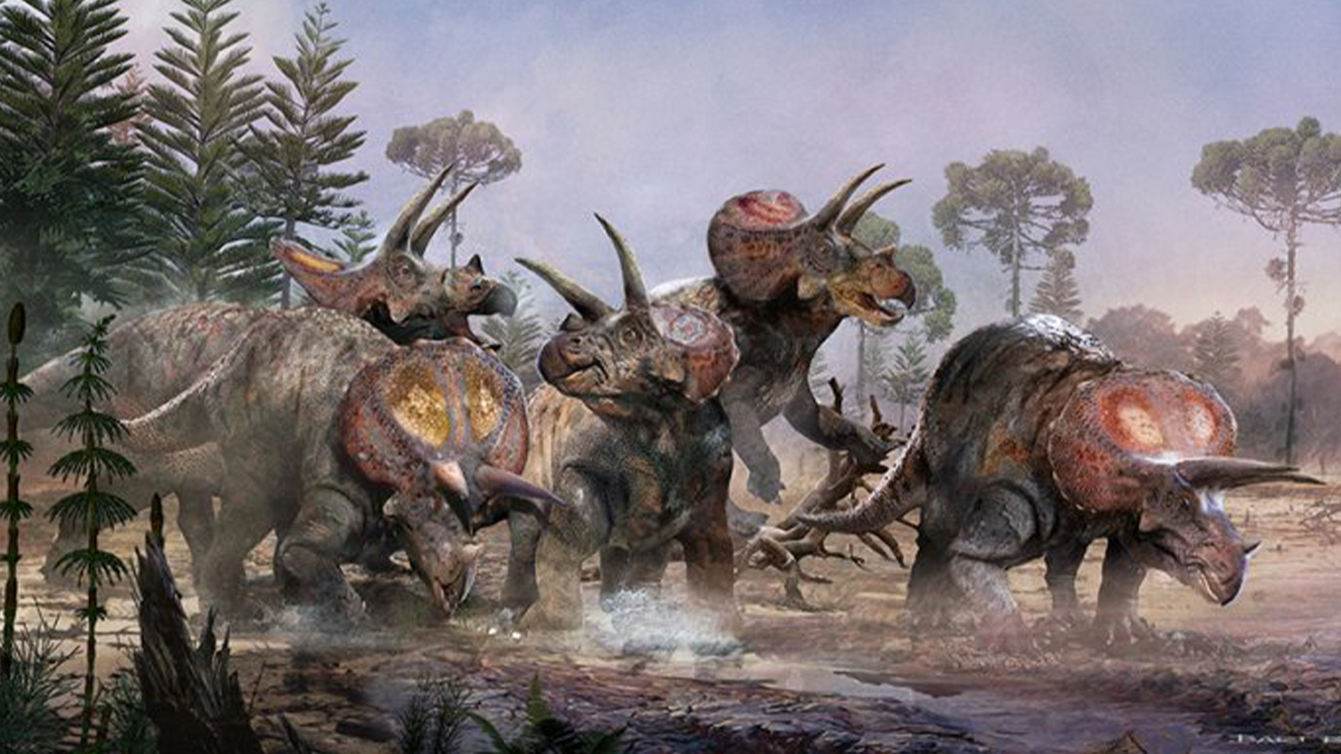 Featured image for "Discovery of Tragic Triceratops Graveyard Confirms Social Behavior"