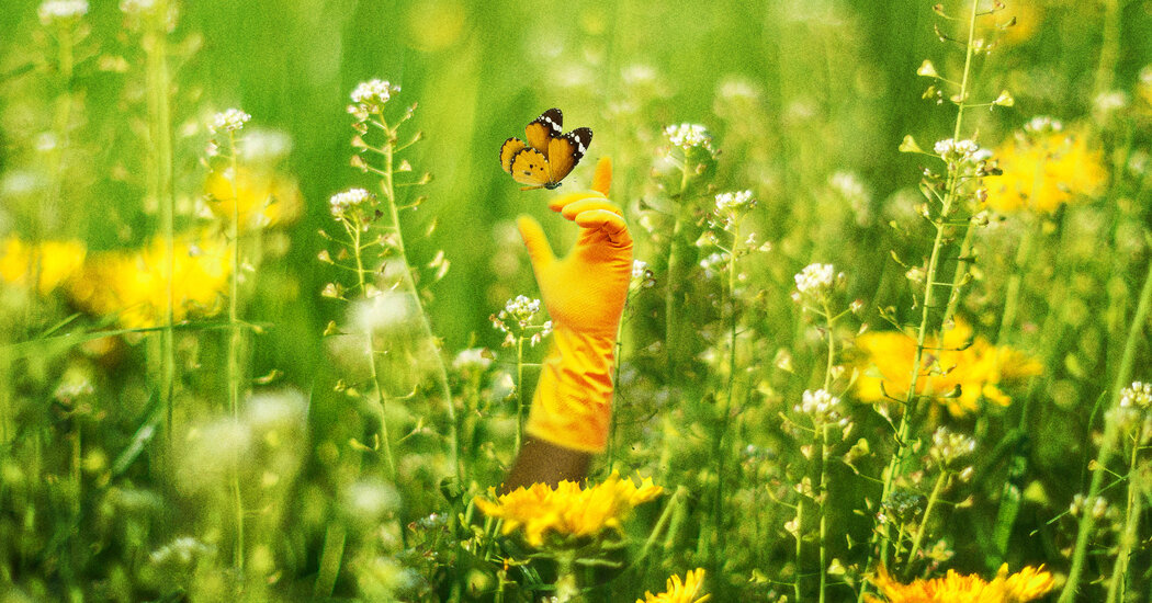 Featured image for "Revitalize Your Home and Health with Spring Cleaning Tips"