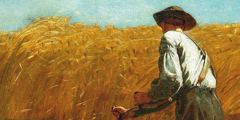 Featured image for Top Poetry Picks of 2024: A Year in Verse