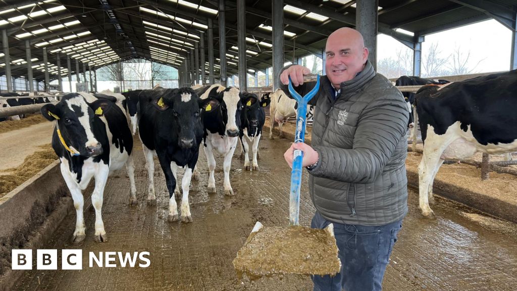 Featured image for Potential of Cow Manure to Heat UK Homes