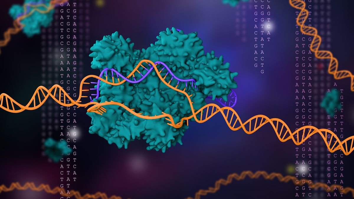 "Algorithm Uncovers 188 Rare CRISPR Systems in Bacterial Genomes"