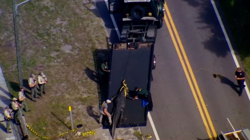 Fatal Encounter: Woman Found Dead in Florida Alligator's Grasp