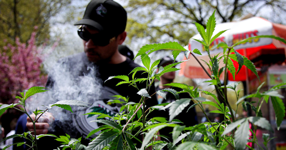 "Daily Marijuana Use Surpasses Daily Drinking in the U.S., Study Shows"