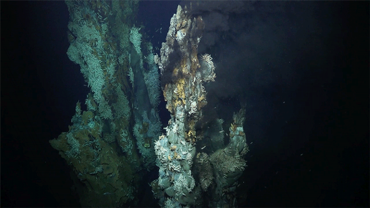 "Exploring the Hidden Wonders of the Deep Sea: Newly Discovered Chimneys and Volcanoes"
