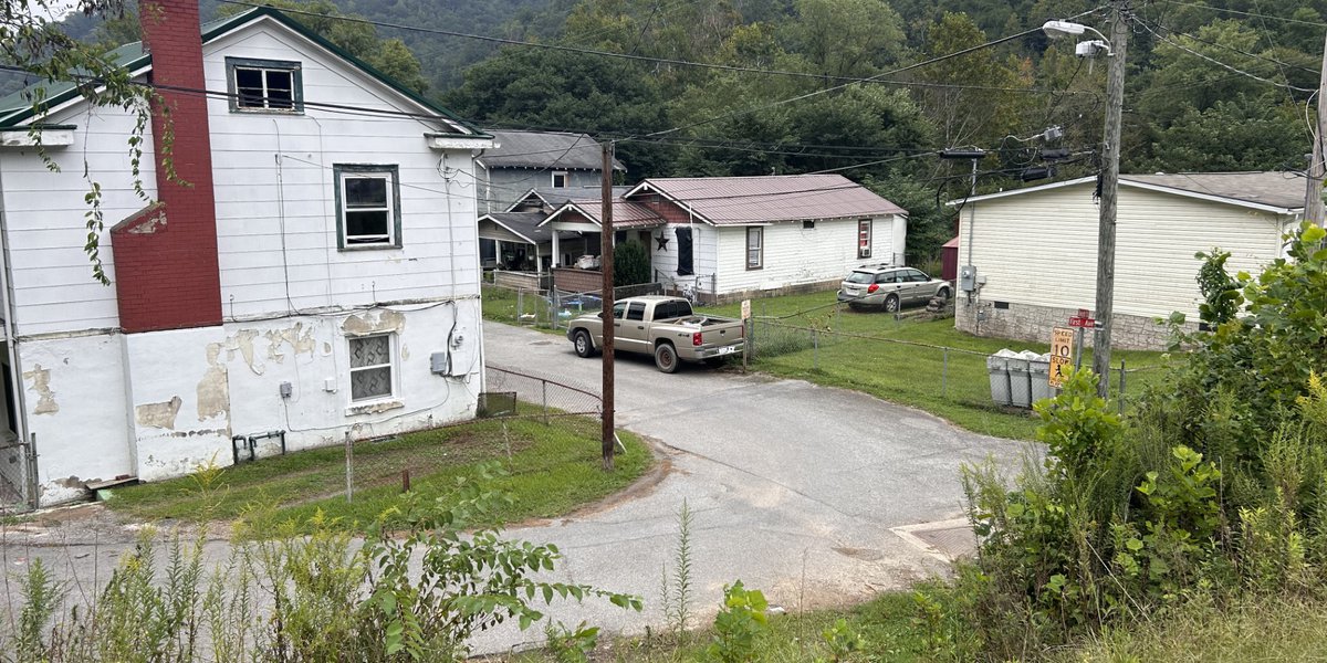 Tragic Incidents: Children Fatally Struck by Vehicles on the Way to School Bus Stops