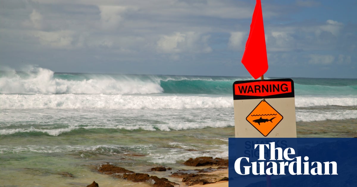 Featured image for "39-Year-Old Surfer Fatally Injured in Maui Shark Attack"