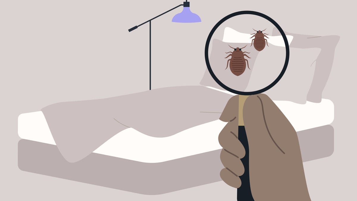 Featured image for "Orkin's 2022 Ranking of America's Worst Bed Bug Cities Revealed"