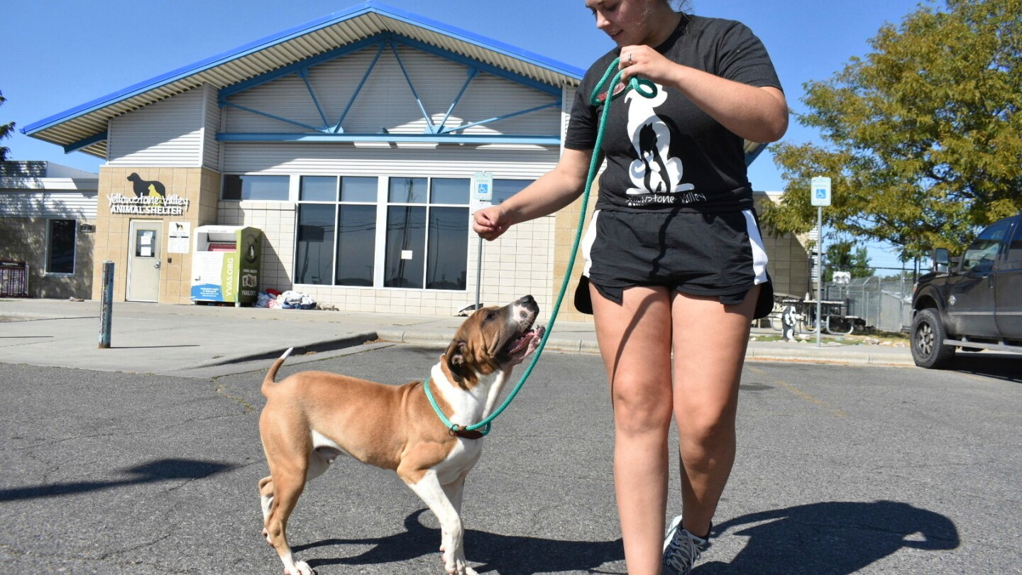 Featured image for FBI Meth Burn Disrupts Montana Animal Shelter