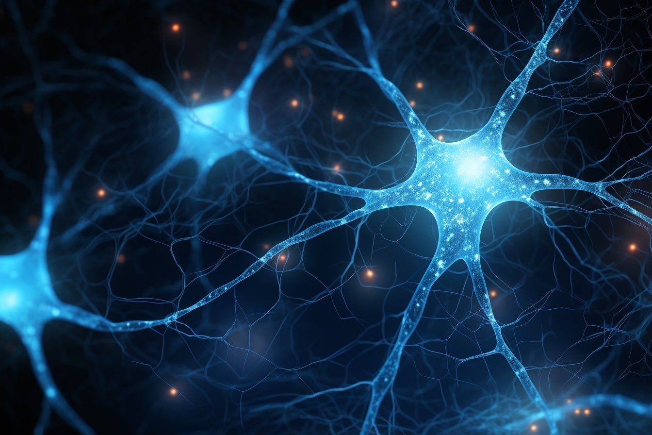 Featured image for Cracking the Code: Mapping Worm's Brain Activity for Insights into the Mind