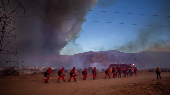 Featured image for Reinsurance Market Faces Profit Growth Amid Rate Cuts and Emerging Risks