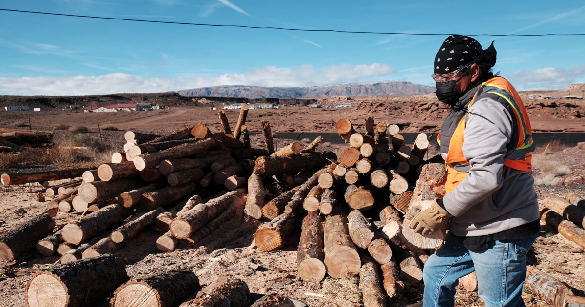 "National Forests Alleviate Firewood Shortage in Navajo Nation"