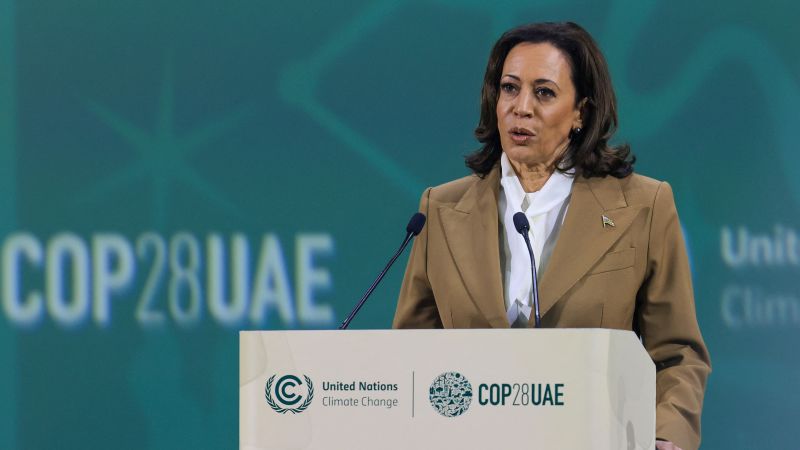 US Vows to Prevent Forced Relocation of Palestinians, Harris Declares
