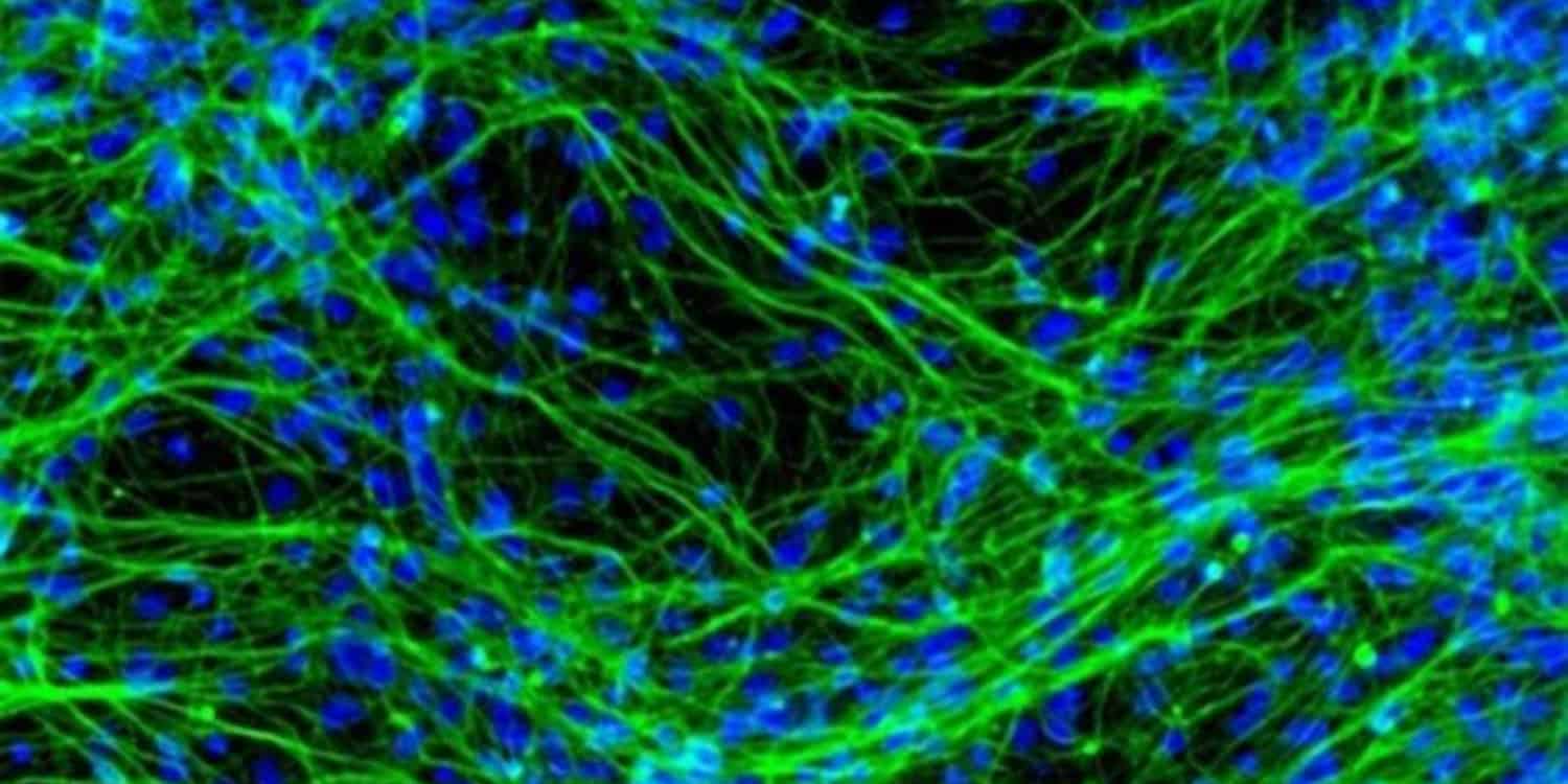 "KNT-127: A Novel Delta Opioid Receptor Agonist for Anxiety Modulation"