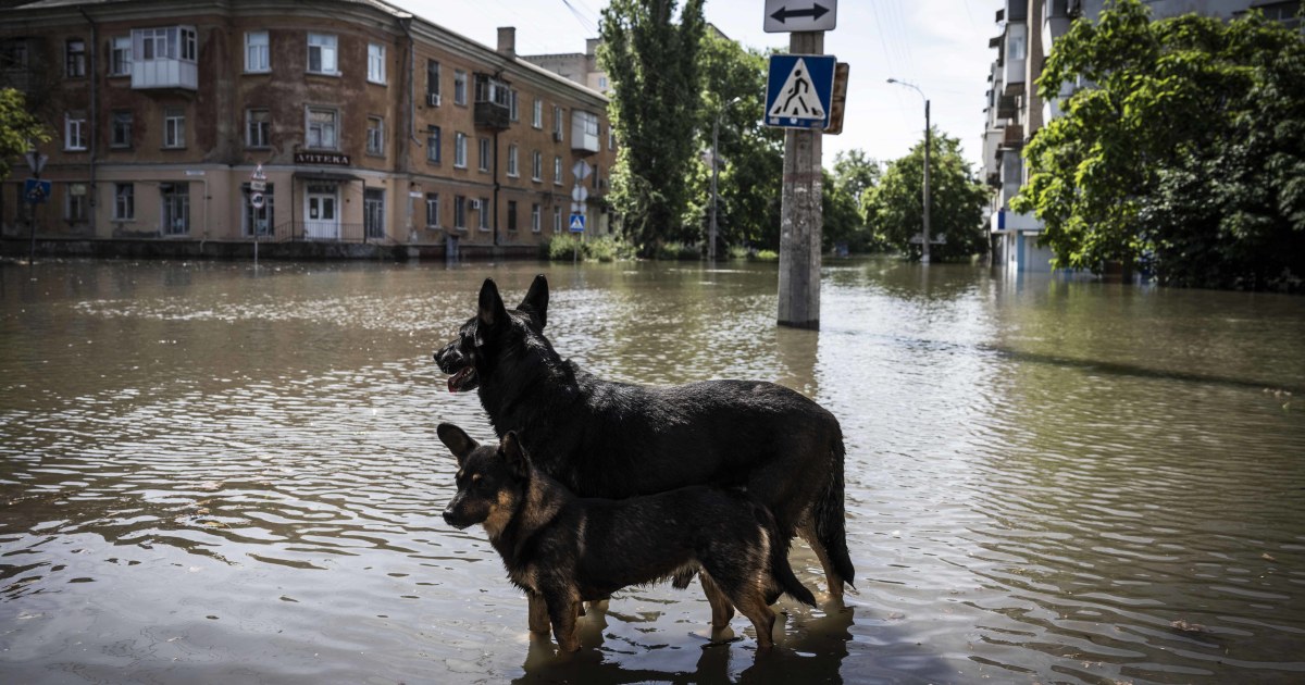 Ukraine's Dam Blast: Environmental and Political Fallout.