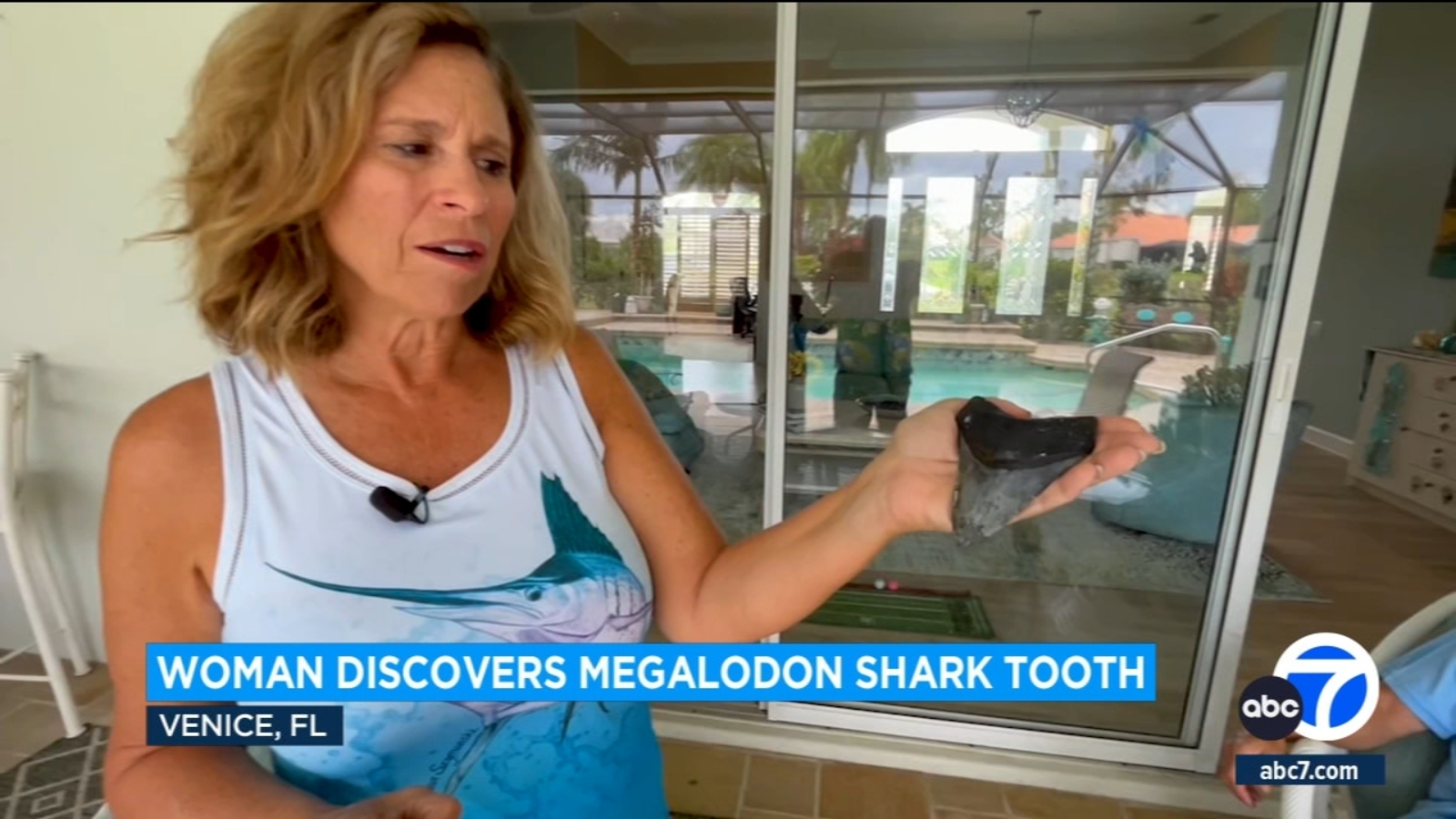 Featured image for Ancient Megalodon Shark Tooth Unearthed on Florida Beach