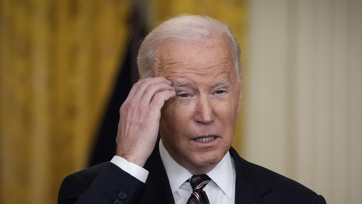 Biden Denies Border Policy Impact, Discusses Leadership and 2024 Election