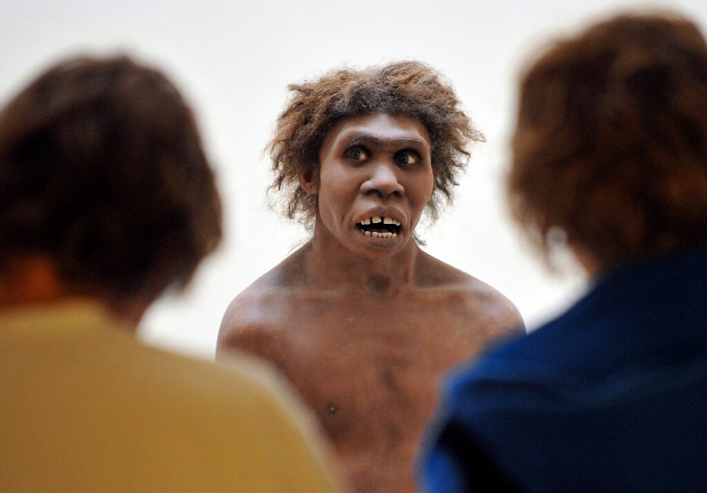Featured image for Debunking the Myth: Human Ancestors on the Brink of Extinction