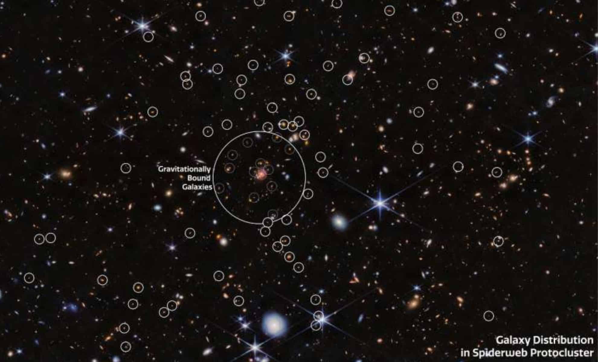 Featured image for James Webb Telescope Unveils Surprising New Galaxies in Spiderweb Protocluster