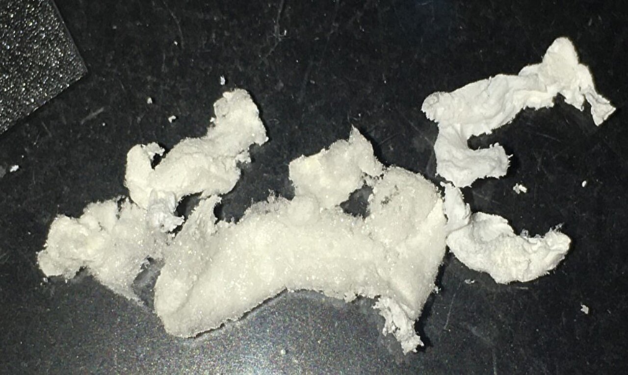 Featured image for "Bioengineered Bacteria Produce Multipurpose Spider Silk from Plastic"