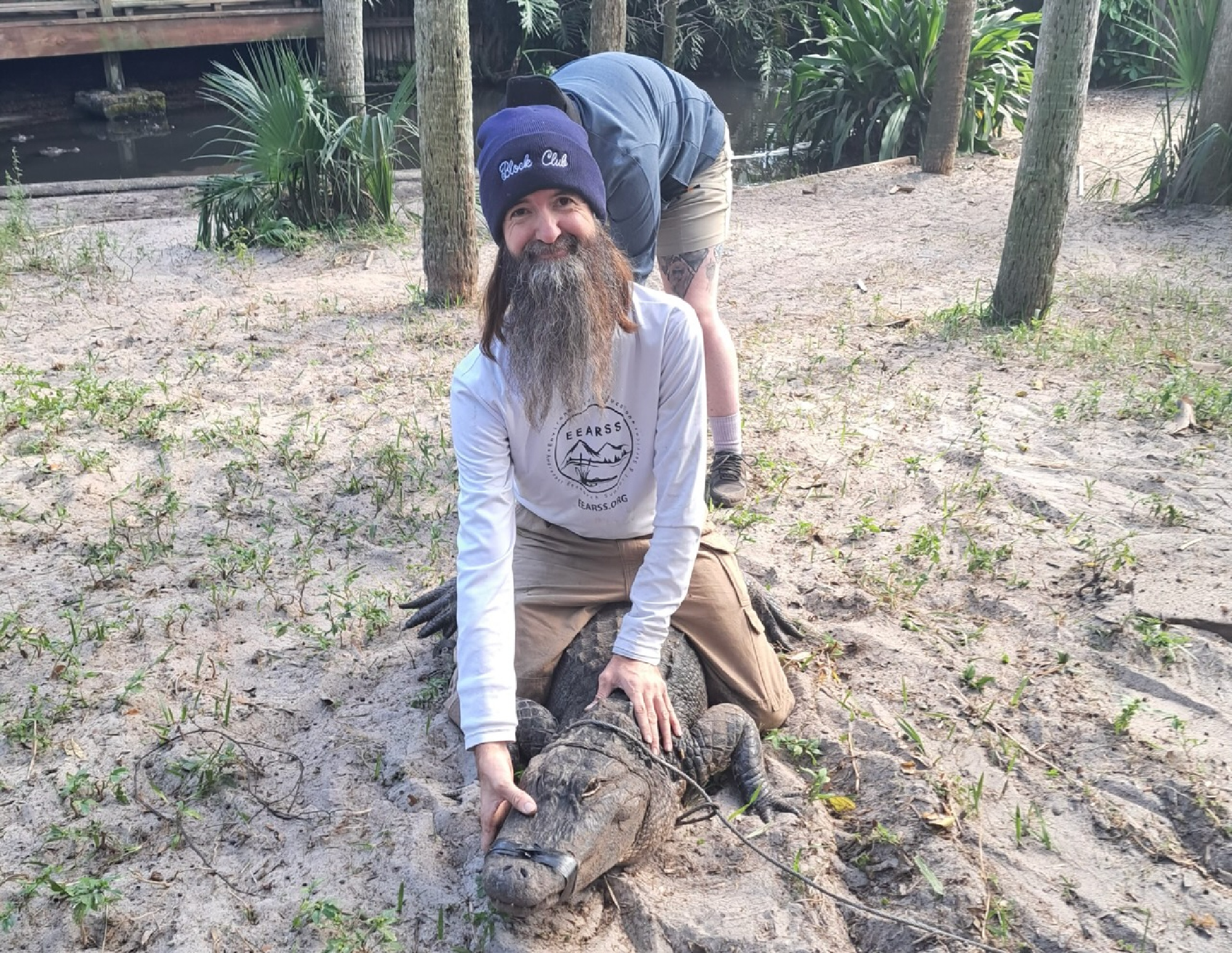 Featured image for Chance the Snapper Grows to 7 Feet, Aids Cancer Research