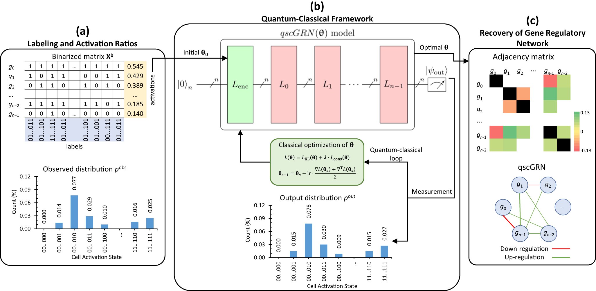 Featured image for Quantum Computing Unveils Gene Relationship Predictions