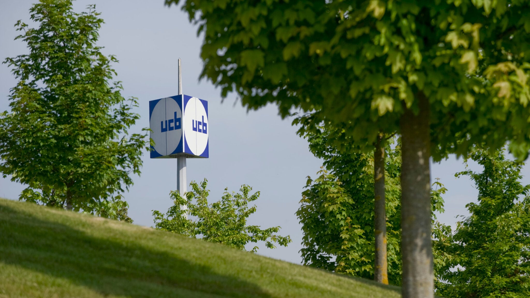 Featured image for FDA Approves UCB's RYSTIGGO as First Drug for Myasthenia Gravis Treatment