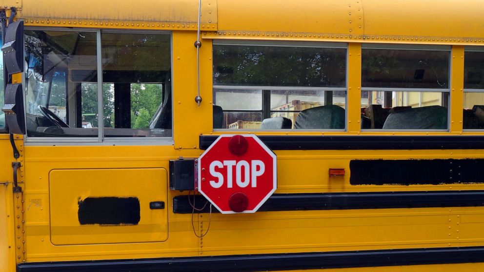 Tragic Accident Claims Student's Life While Waiting for School Bus