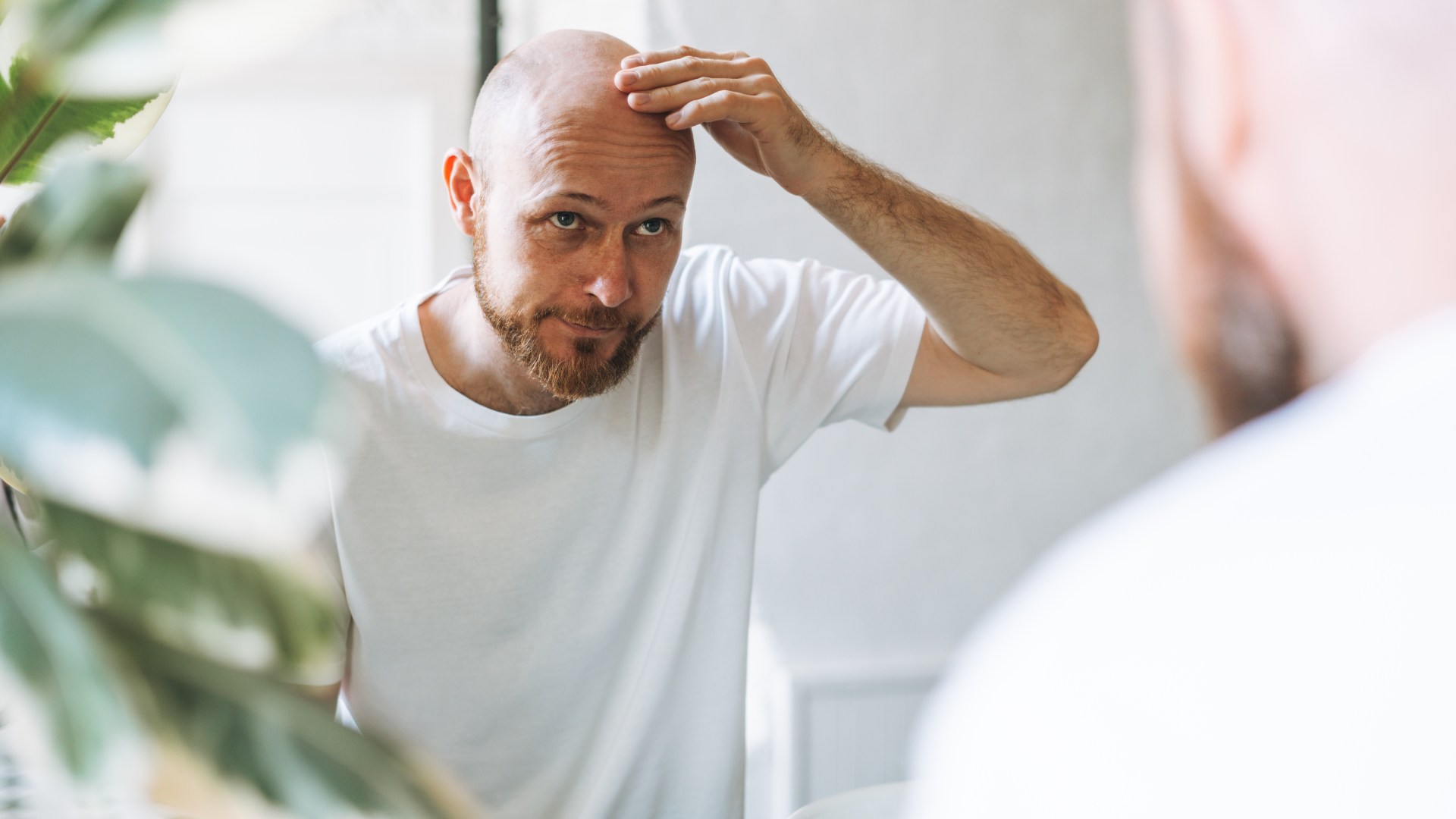 Featured image for "Breakthrough: Scientists Successfully 3D Print Hair Follicles, Offering Hope for Baldness Cure"
