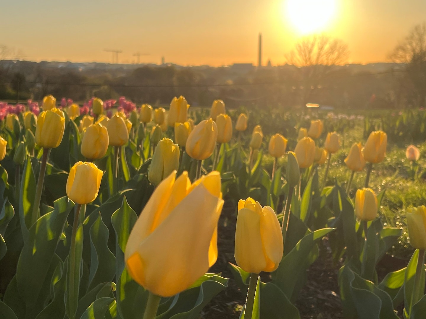 Featured image for Weekend Weather: Windy Friday, Showers Saturday, Dry and Mild Easter Sunday