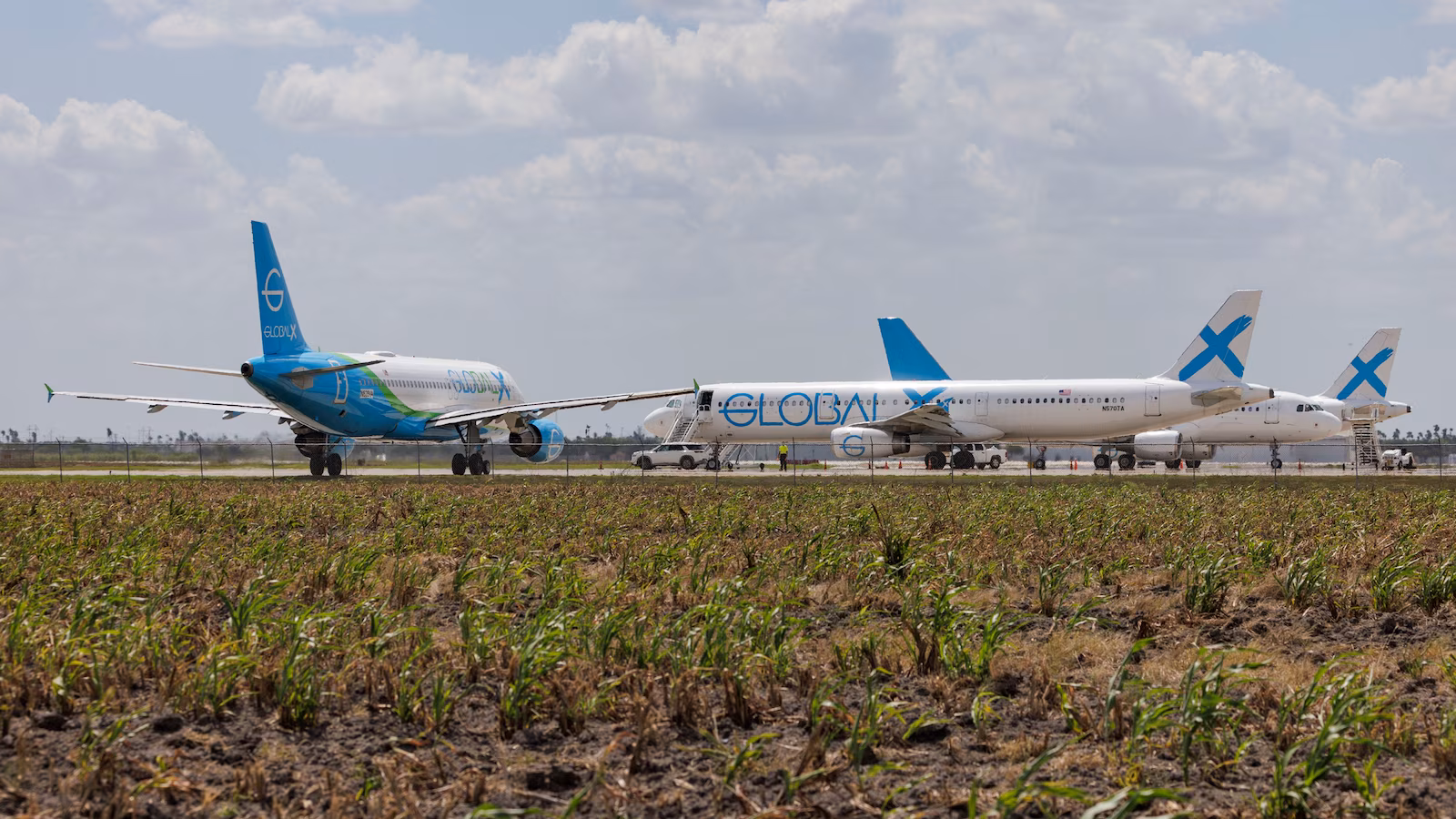 Featured image for Judges Halt Deportations of Guatemalan Minors