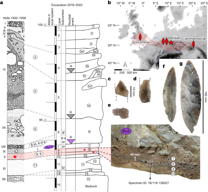 "Early Human Presence in Northern Europe: Insights from 45,000-Year-Old Bones"