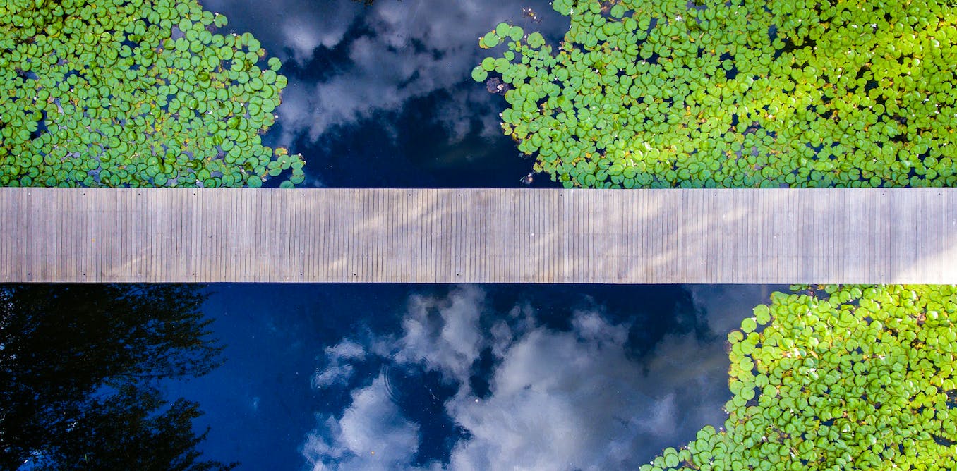 Featured image for Earth's Limits Breached: Urgent Need for Safer and Fairer Future.