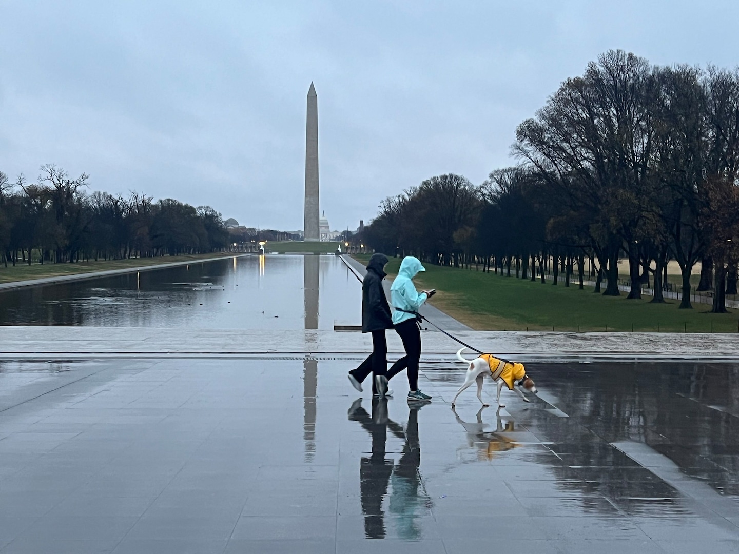 Wild Weather: Rain, Snow, and Flooding Threaten Millions of Americans