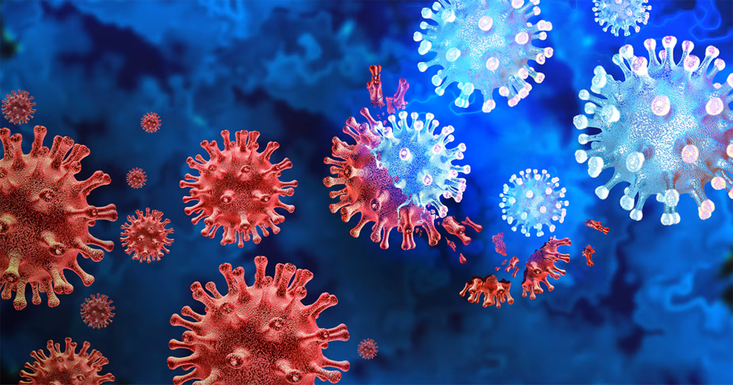 Featured image for Latest Updates on Measles, Bird Flu, and COVID Trends in 2025