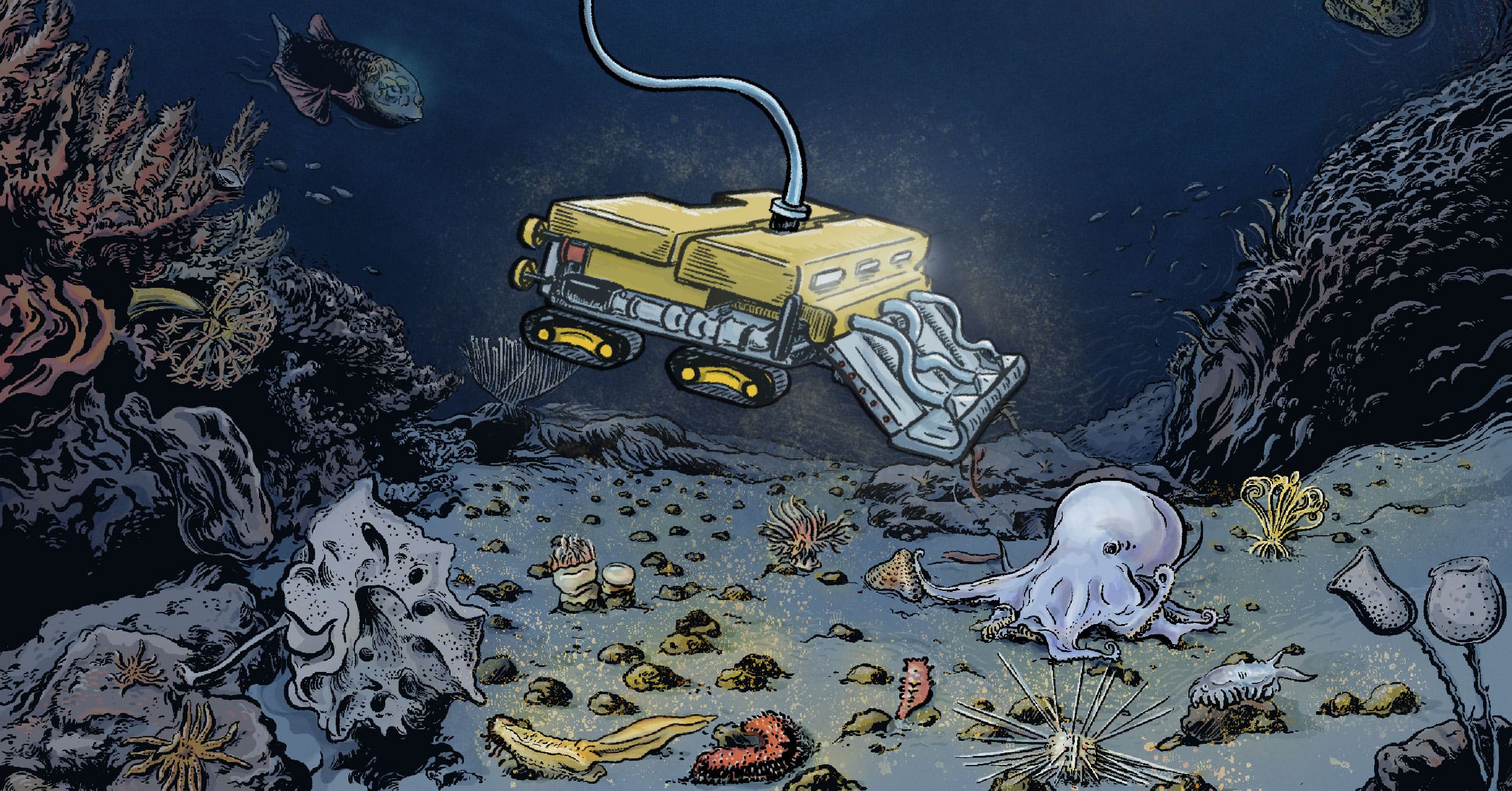 Navigating the Depths: Balancing the Promise and Perils of Deep-Sea Mining