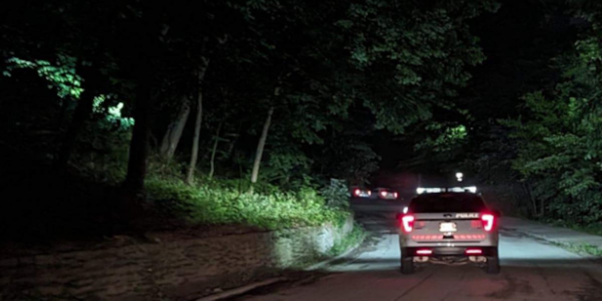 Featured image for Cincinnati Police Investigate Possible Tiger Sighting Near Zoo