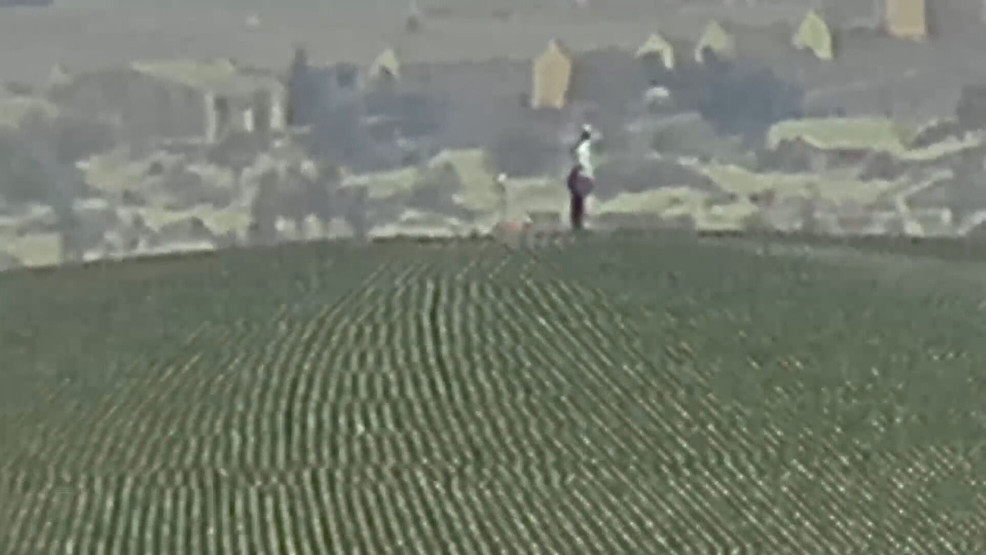 Featured image for "Sphere Climber in Custody After Shocking Las Vegas Stunt"