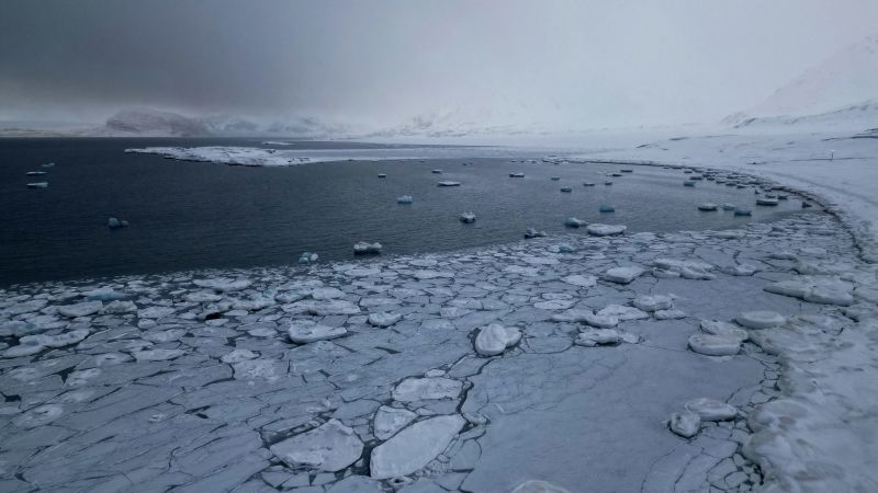 Arctic summer sea ice could disappear by 2030s, study finds.