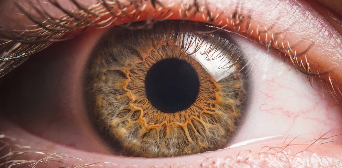 Featured image for The Battle for Scientific Validity: Unraveling the Mystery of Consciousness