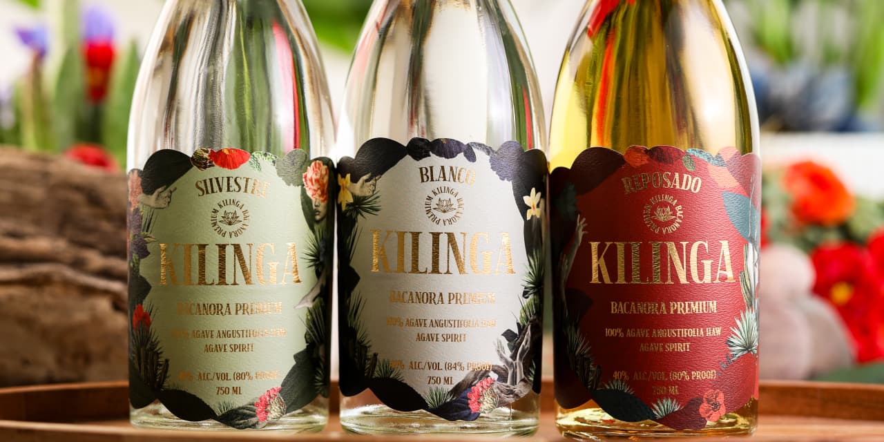 Featured image for "Bacanora: The Rising Star of Mexican Spirits"