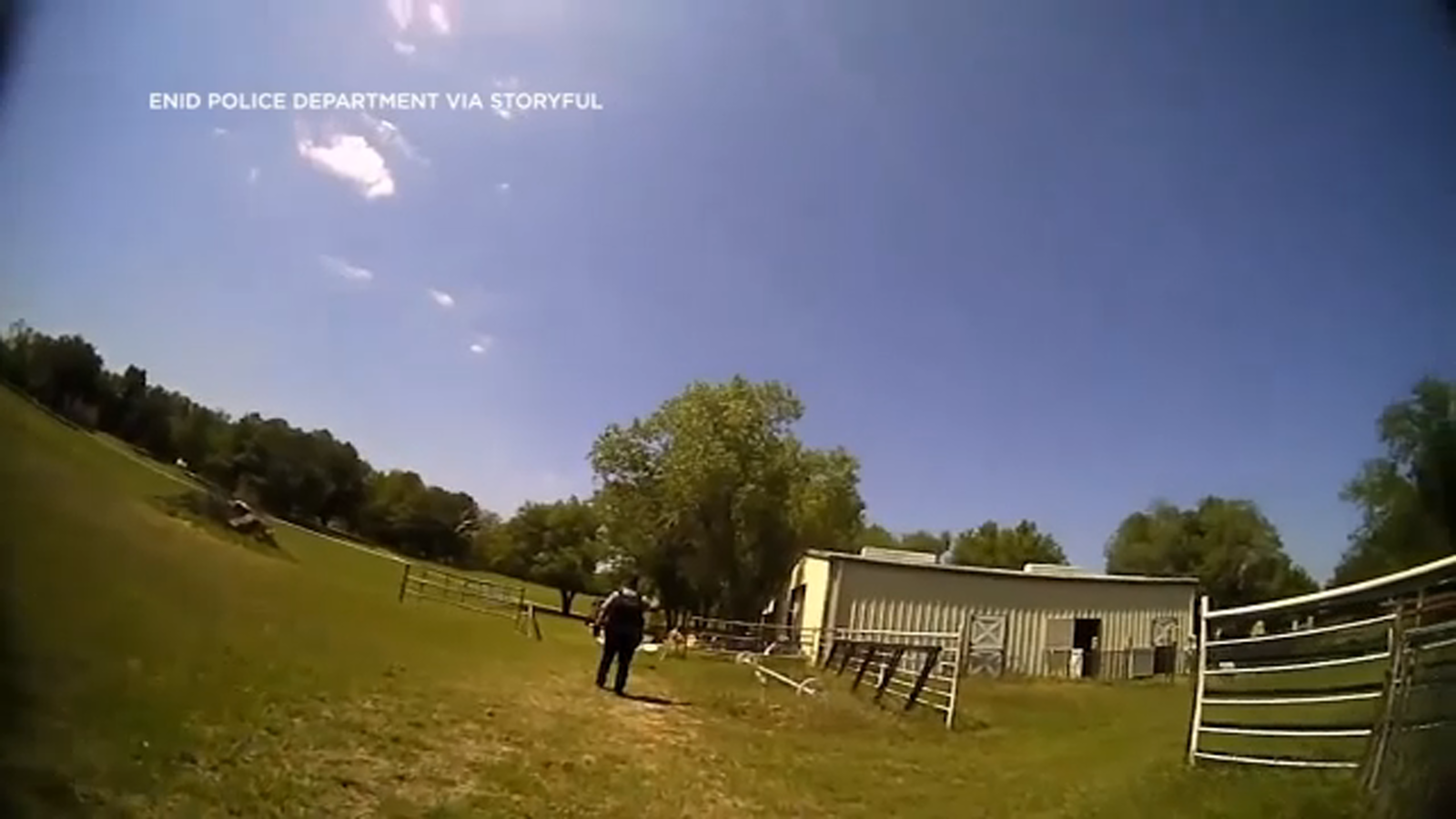 Police Respond to Cries for Help, Find Distressed Goat Instead.