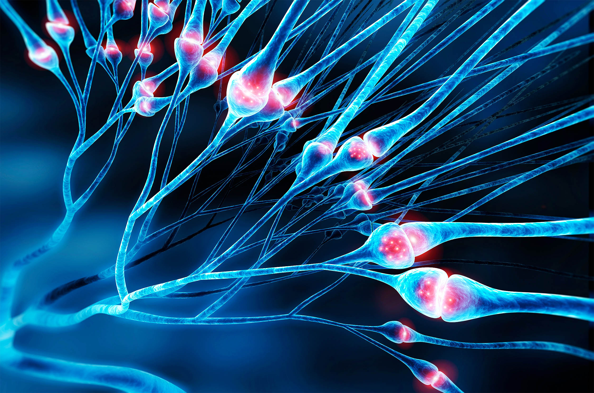 Featured image for New Research Redefines Brain Cell Structure, Upending Century-Old Biology Texts