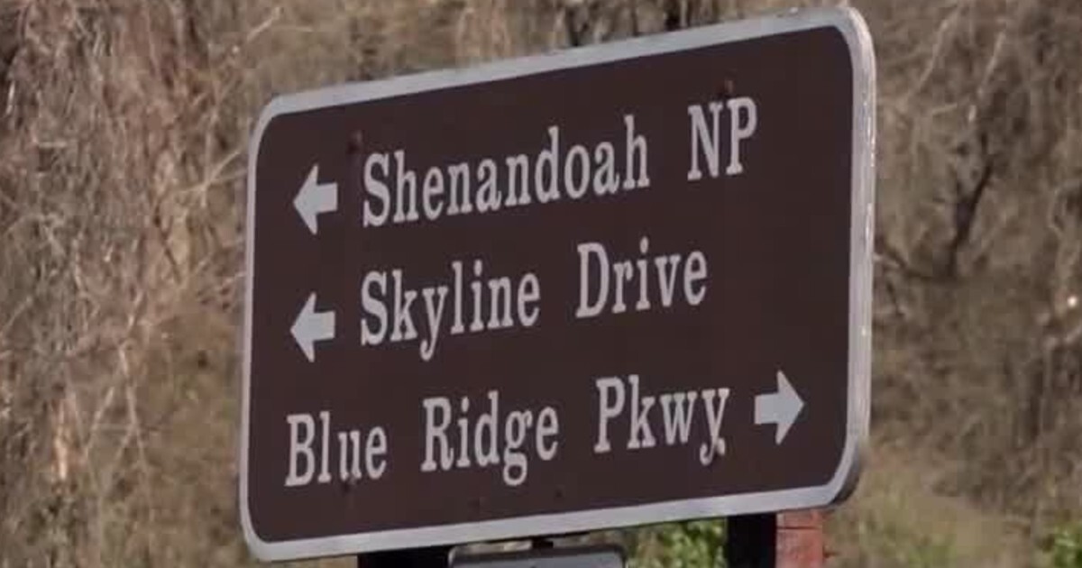 Featured image for Multiple Bodies Found in Shenandoah National Park During Search for Missing Individuals