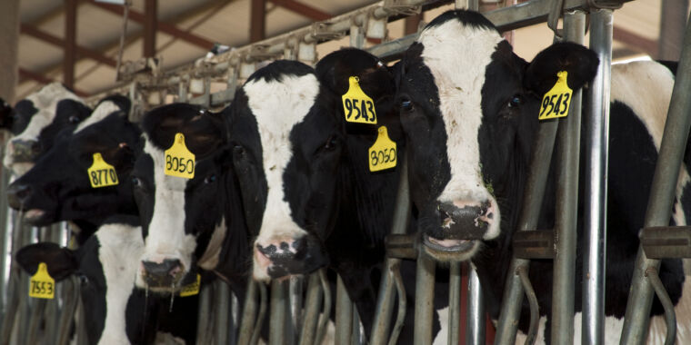 Second Human Case of Bird Flu in Michigan Dairy Worker Confirmed