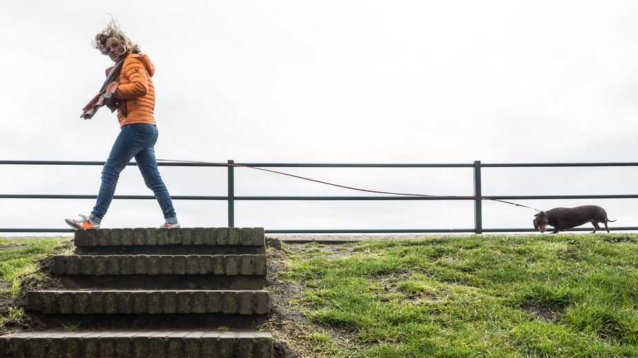 Featured image for "South Carolina Braces for Extreme Cold Snap This Weekend"