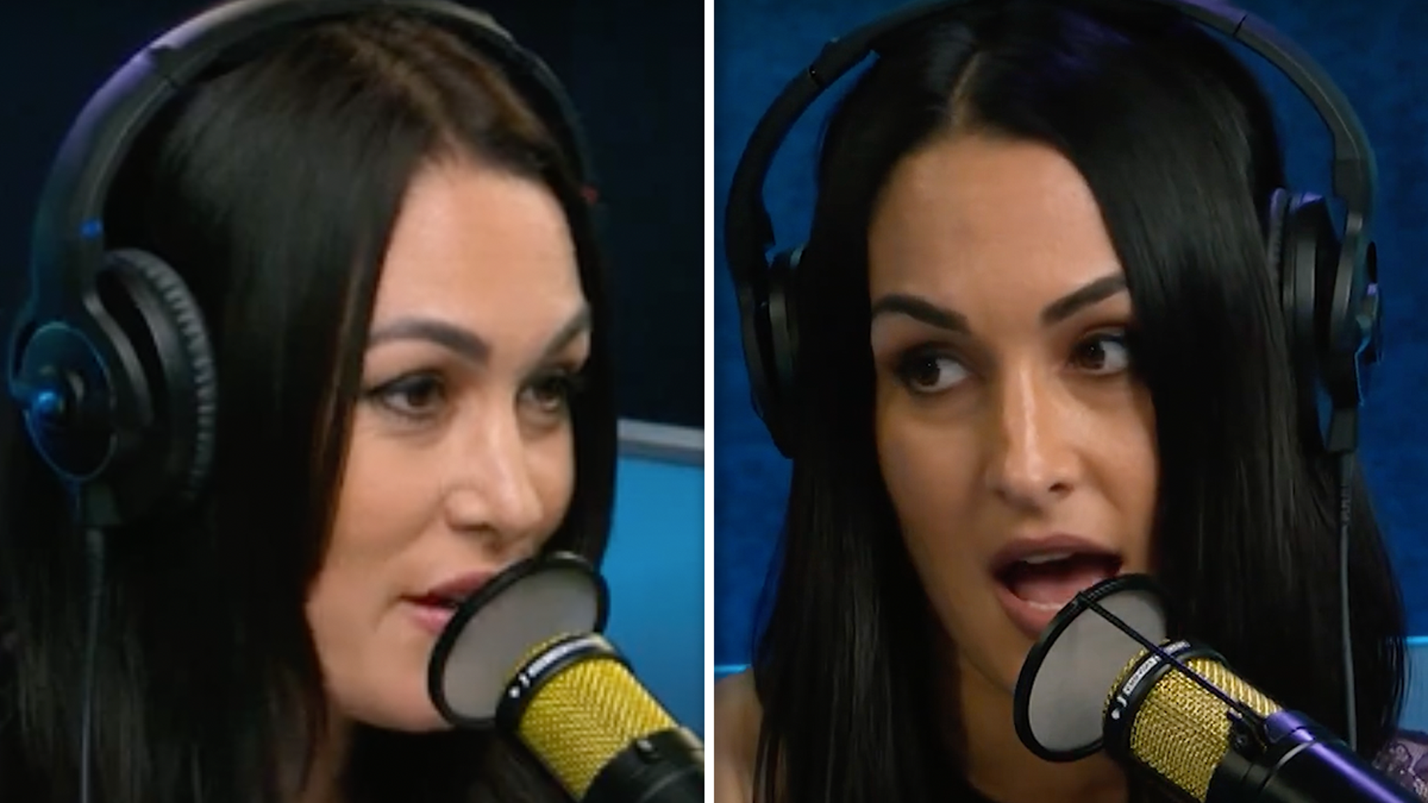 Featured image for Bella Twins Change Names and Exit WWE in Career Announcement.